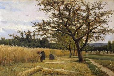 Reaping